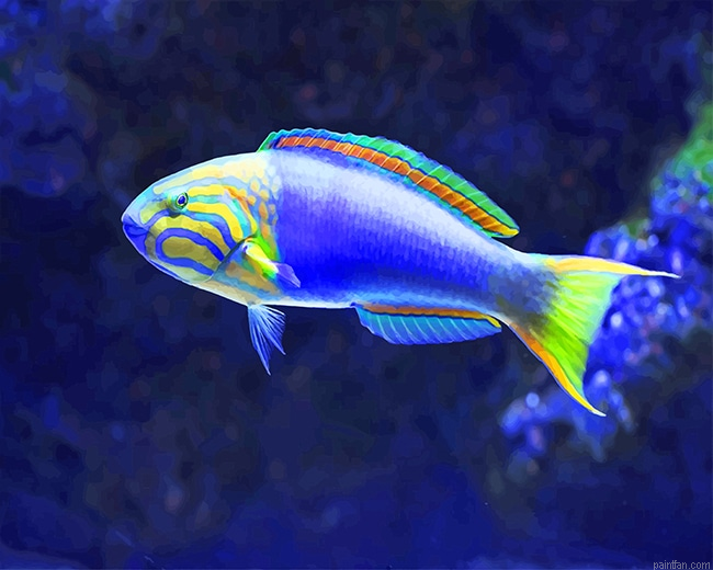 Tropical Blue Fish New Paint By Numbers.png