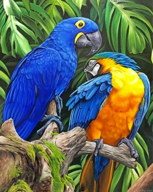 Tropical Macaws Paint By Number.png