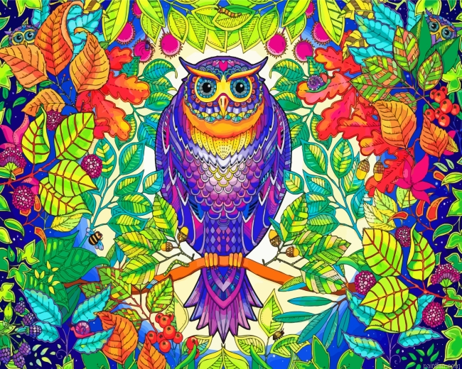 Tropical Mandala Owl Paint By Number.png
