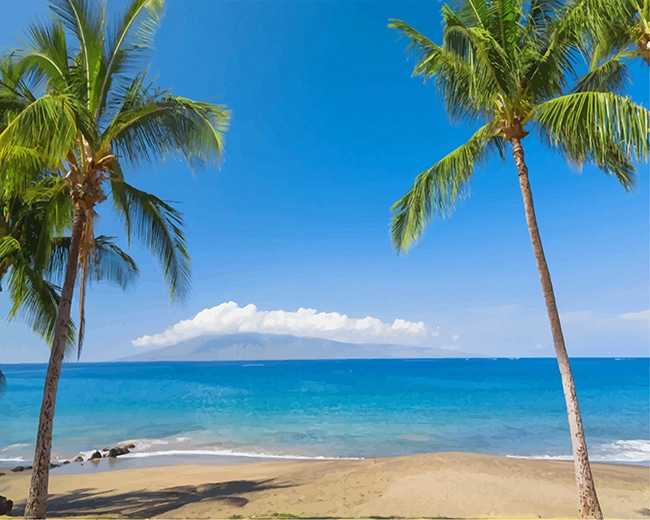 Tropics Coast Sea Palma Hawaii New Paint By Numbers.png