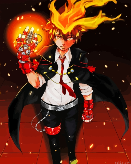 Tsunayoshi Sawada Paint By Numbers.png