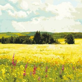 Tulip Field Paint By Numbers.png
