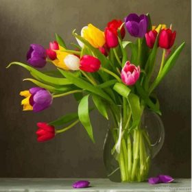 Tulip Flowers Paint By Numbers.png
