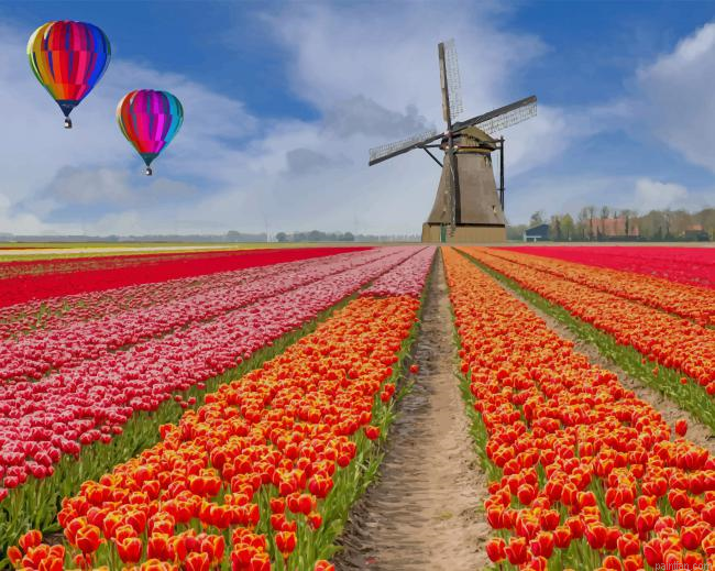 Tulips Field New Paint By Numbers.png