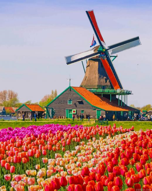 Tulips Flowers Field New Paint By Numbers.png