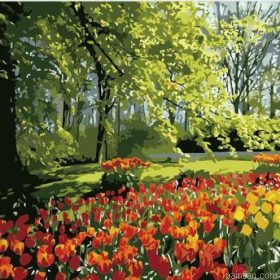 Tulips Spring In Garden Paint By Numbers.png