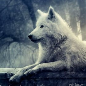 Tundra Wolf Paint By Numbers.png