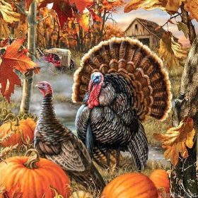 Turkeys In The Fall Paint By Numbers.png