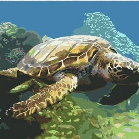 Turtle Swimming Paint By Numbers.png