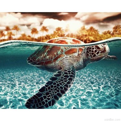 Turtle Underwater Paint By Numbers.png