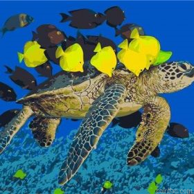 Turtle And Fish Paint By Numbers.png