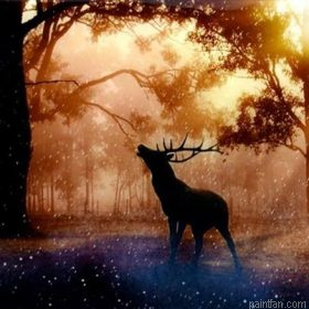 Twilight Deer Paint By Numbers.png