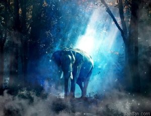 Twilight Elephant Paint By Numbers.png