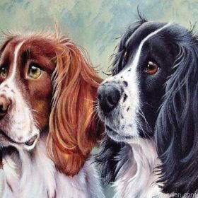 Twin Dogs Paint By Numbers.png