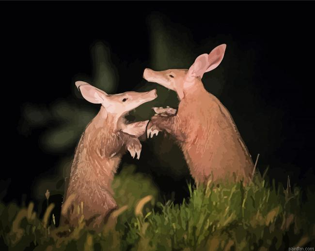 Two Aardvark Fighting Paint By Numbers.png