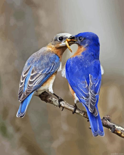 Two Blue Birds Paint By Numbers.png