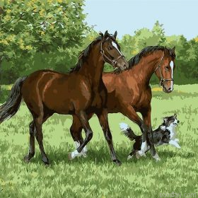 Two Horses And Dog Paint By Numbers.png