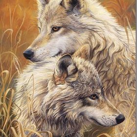 Two White Wolves Paint By Numbers.png