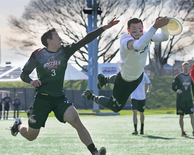 Ultimate Frisbee Paint By Numbers.png