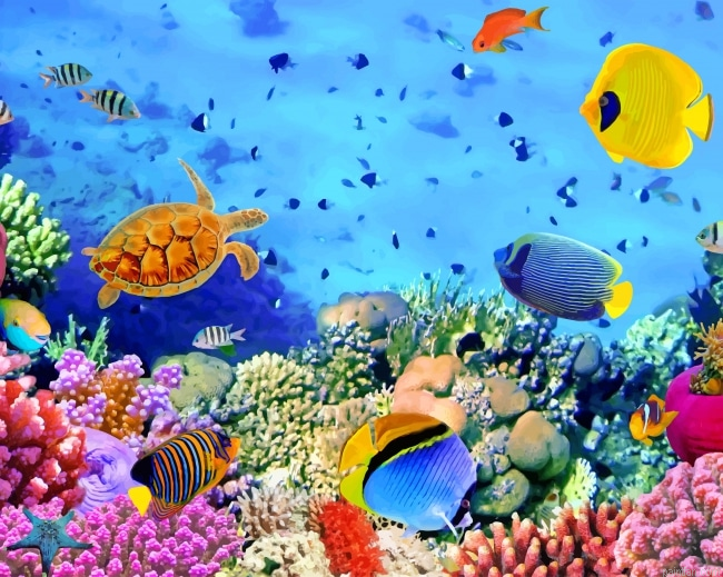 Under Water Colorful Fish New Paint By Numbers.png