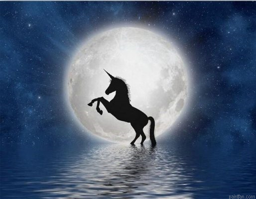 Unicorn Full Moon Paint By Numbers.png