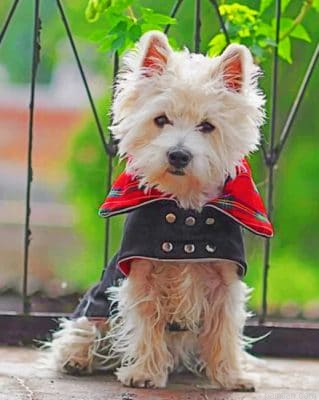 Vampire Westie Paint By Number.png