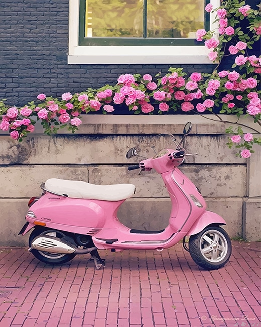 Vespa Pink Scooter New Paint By Numbers.png