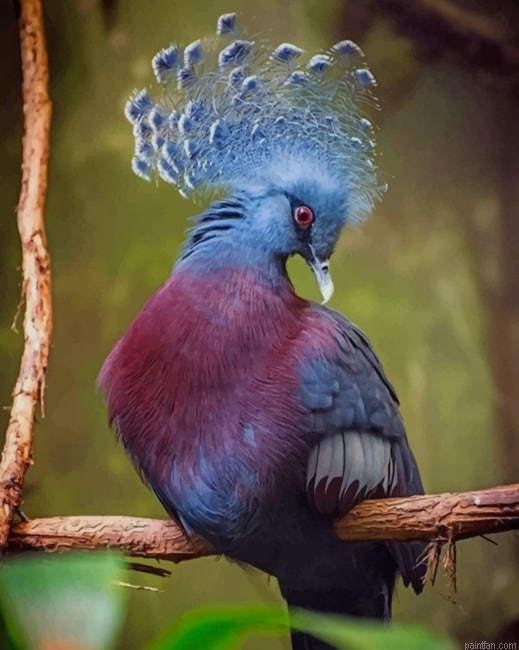 Victoria Crowned Pigeon New Paint By Numbers.png