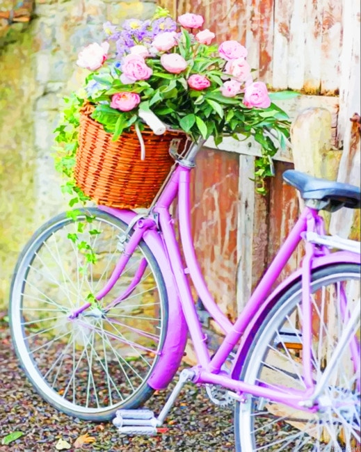Vintage Bike With Flower Basket New Paint By Numbers.png