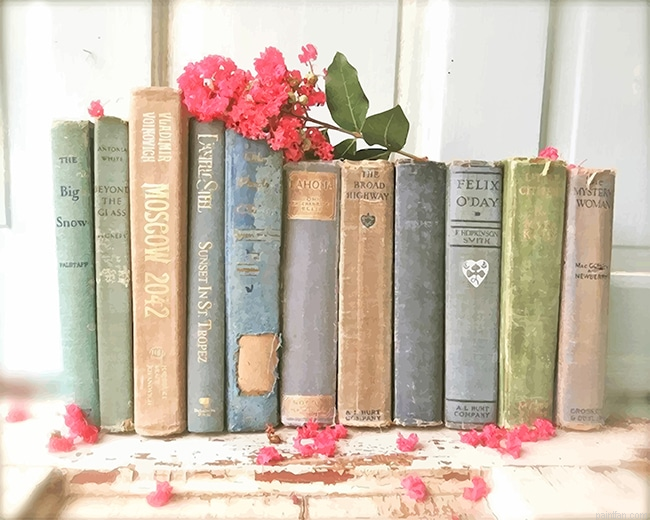 Vintage Books New Paint By Numbers.png