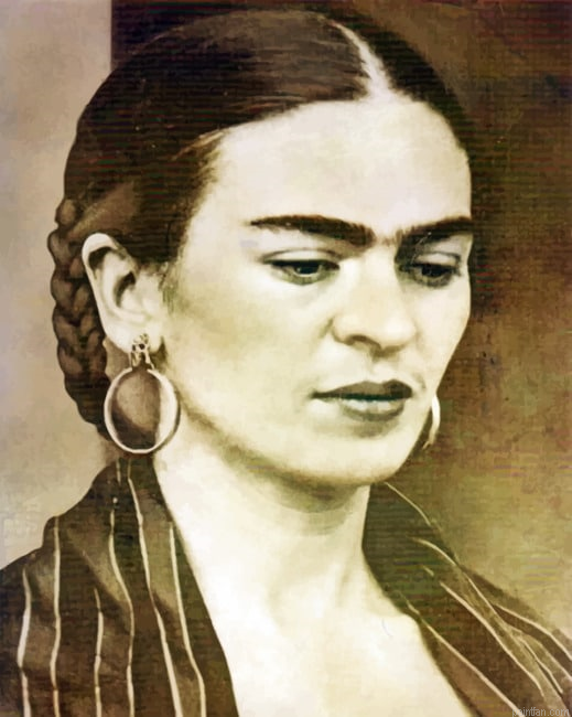 Vintage Frida Kahlo New Paint By Numbers.png
