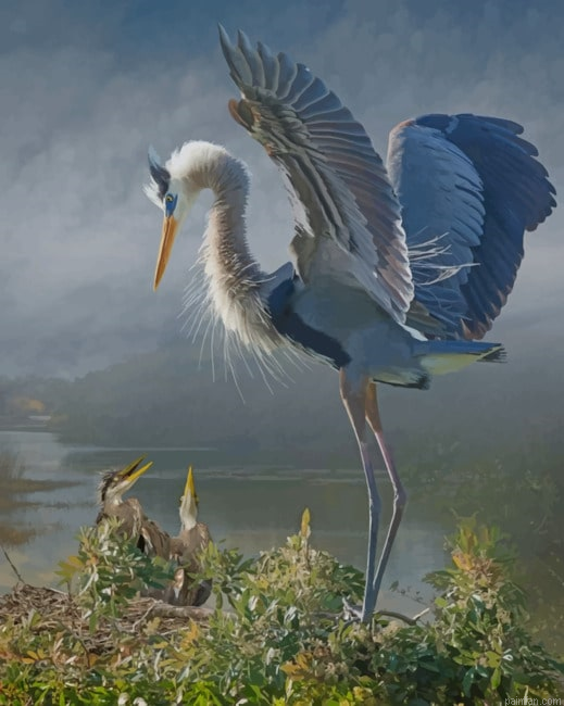 Vintage Great Blue Heron New Paint By Numbers.png