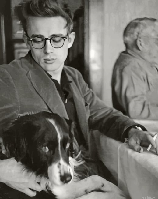 Vintage James Dean New Paint By Numbers.png