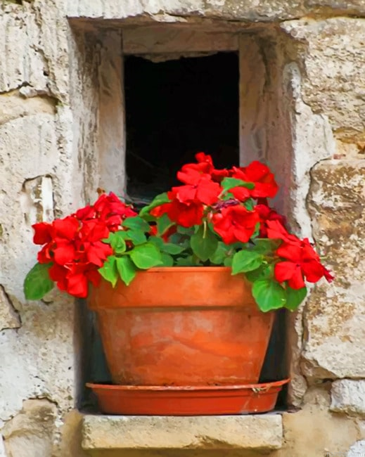 Vintage Red Flowers Paint By Numbers.png