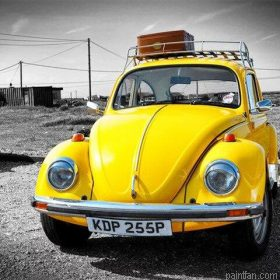 Volkswagen Beetle Paint By Numbers.png