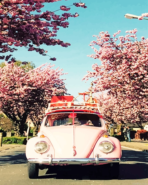Wv Beetle And Cherry Blossom New Paint By Numbers.png