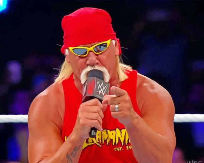 Wwe Hulk Hogan Paint By Numbers.png