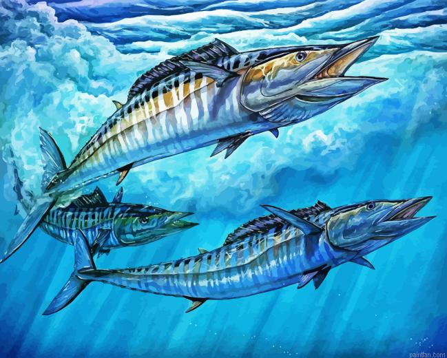 Wahoo Fish Paint By Numbers.png