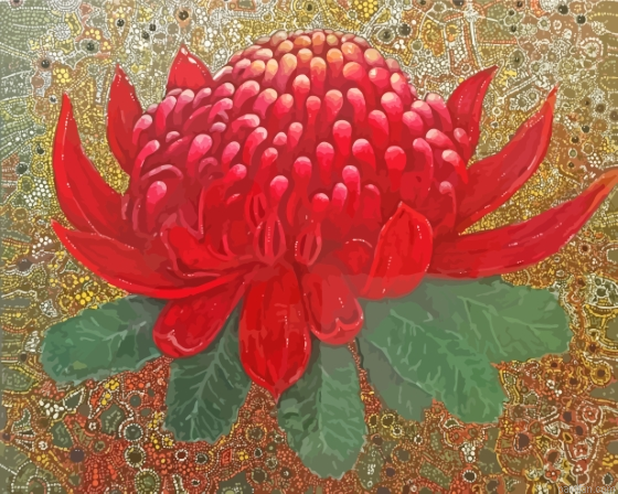 Waratah Art Paint By Numbers.png