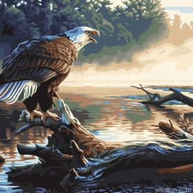 Water Eagle Paint By Numbers.png