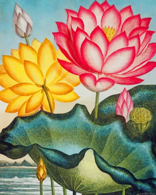 Water Lily Art Paint By Numbers.png