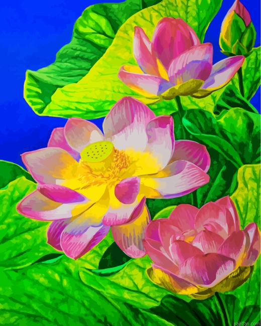 Water Lily Paint By Number.png