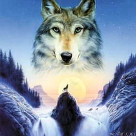 Waterfall Wolf Paint By Numbers.png