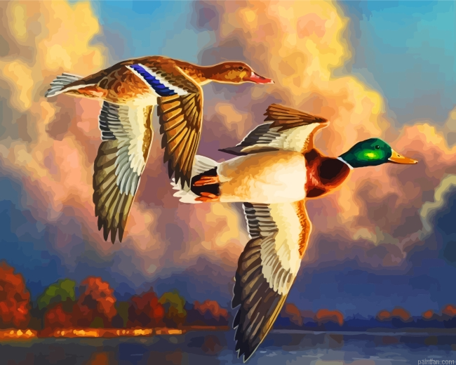 Waterfowl Birds Paint By Number.png