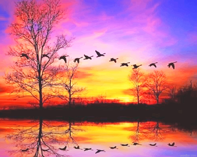 Waterfowl Sunset New Paint By Numbers.png