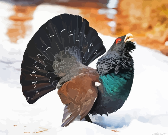 Western Capercaillie Paint By Numbers.png