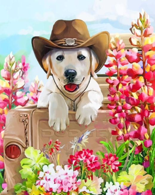 Western Dog Animals Paint By Numbers.png