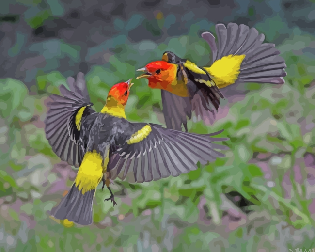 Western Tanager Birds Paint By Number.png