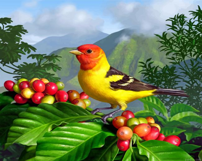 Western Tanager Paint By Number.png