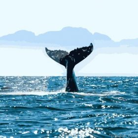 Whale Tail Ocean Paint By Numbers.png